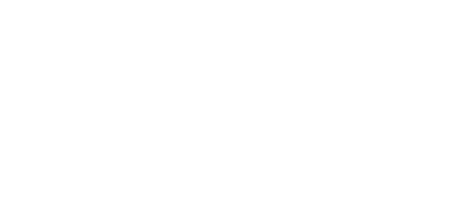 Metalixe